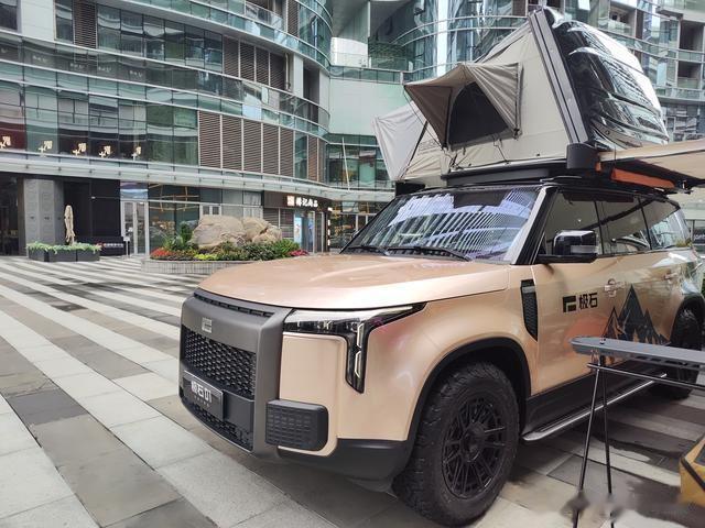 洛軻智能極石01釣魚大師版：全地形豪華SUV新標(biāo)桿-有駕