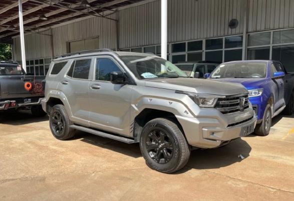 全新國產越野將上市！2.0T+9AT+三把鎖，高顏值，更強更平價-有駕