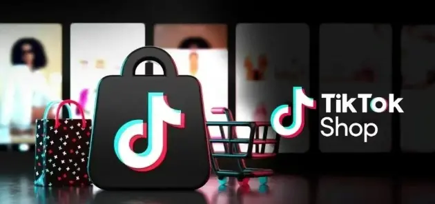 （圖片來源于鈦媒體出海參考）