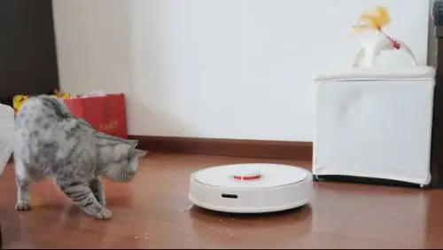 圖｜石頭智能掃地機(jī)器人