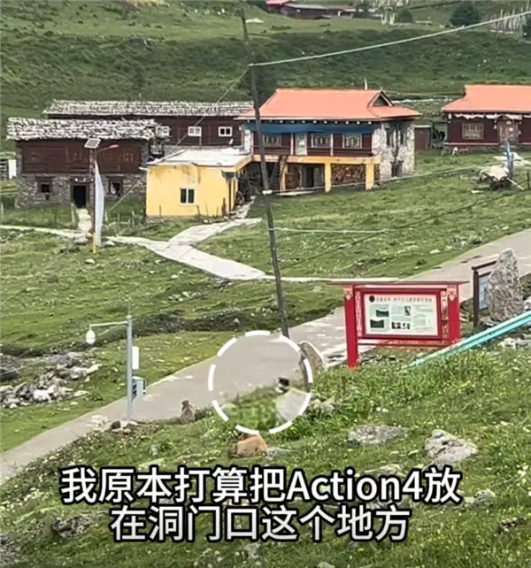 大疆Action 4被土撥鼠偷走 客服小姐姐都被逗笑了